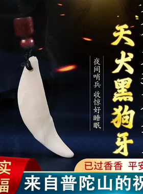 正宗黑狗牙已开认主真品大黑狗牙吊坠防惊压惊男女宝宝红绳狼牙