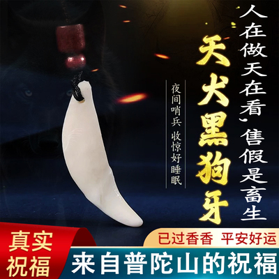 正宗黑狗牙已开认主真品大黑狗牙吊坠防惊压惊男女宝宝红绳狼牙