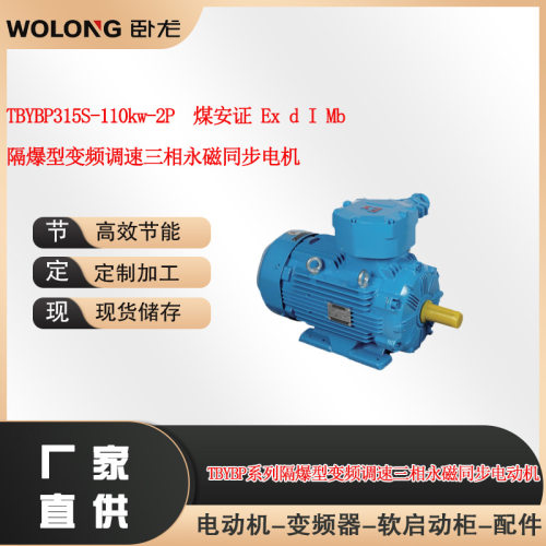 TBYBP-315S-110kw-2P  煤安证 Ex d I Mb  防爆三相永磁同步电机