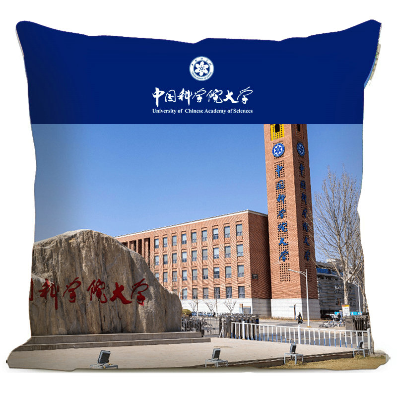 印象.中科院抱枕 中国科学院大学校园文创靠枕毕业留念校友礼物