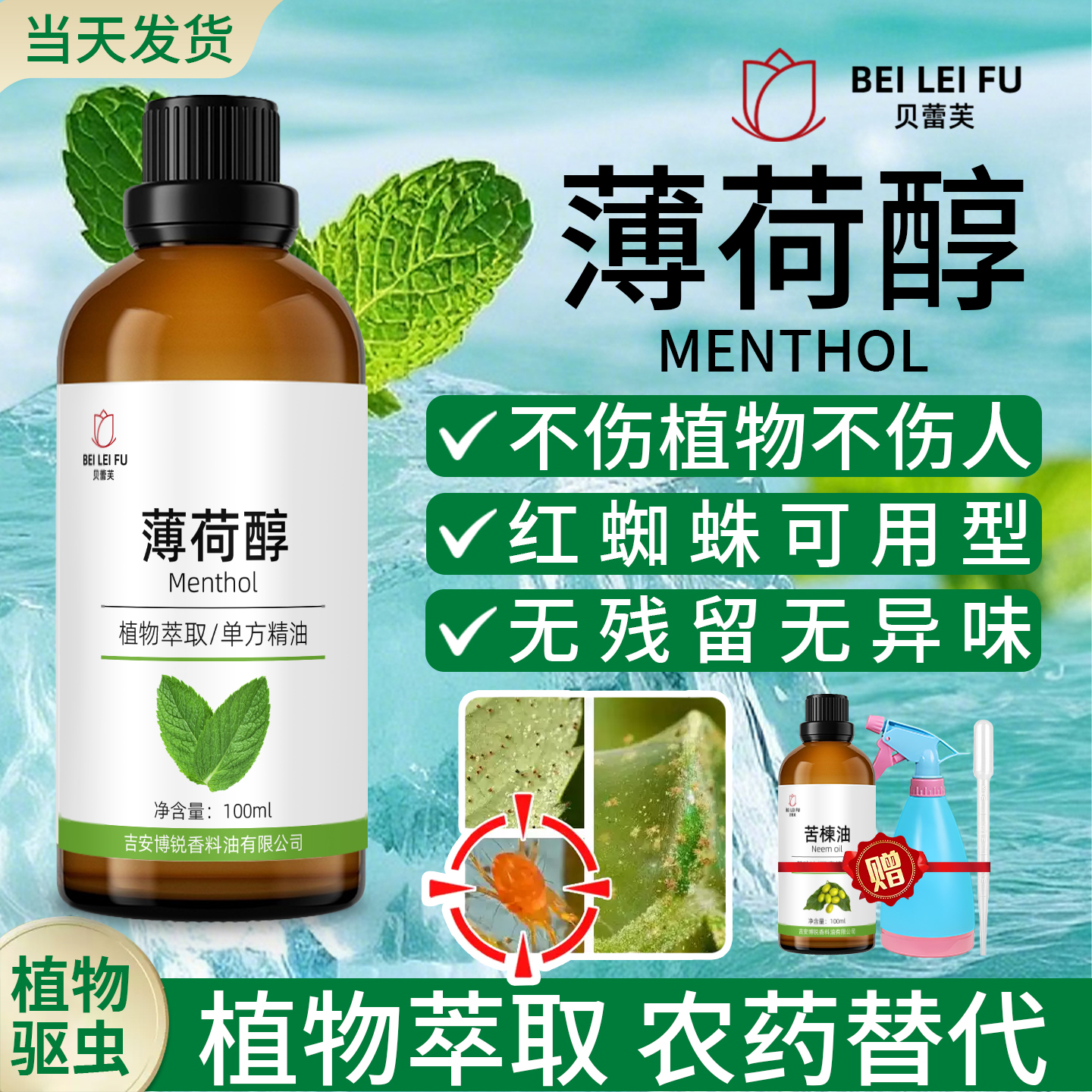 薄荷醇红蜘蛛害虫室外可用