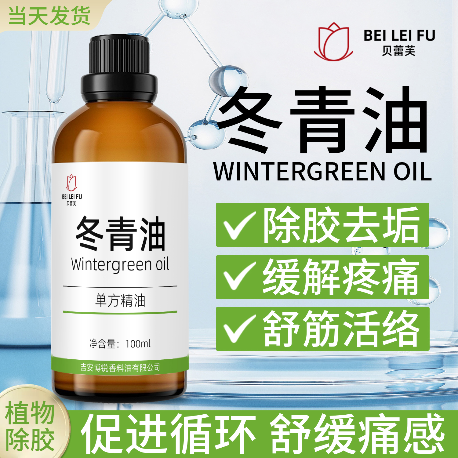 纯正冬青缓解肌肉疼痛按摩消炎