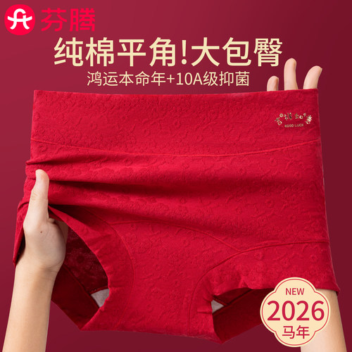 芬腾10A纯棉高腰小平角内裤
