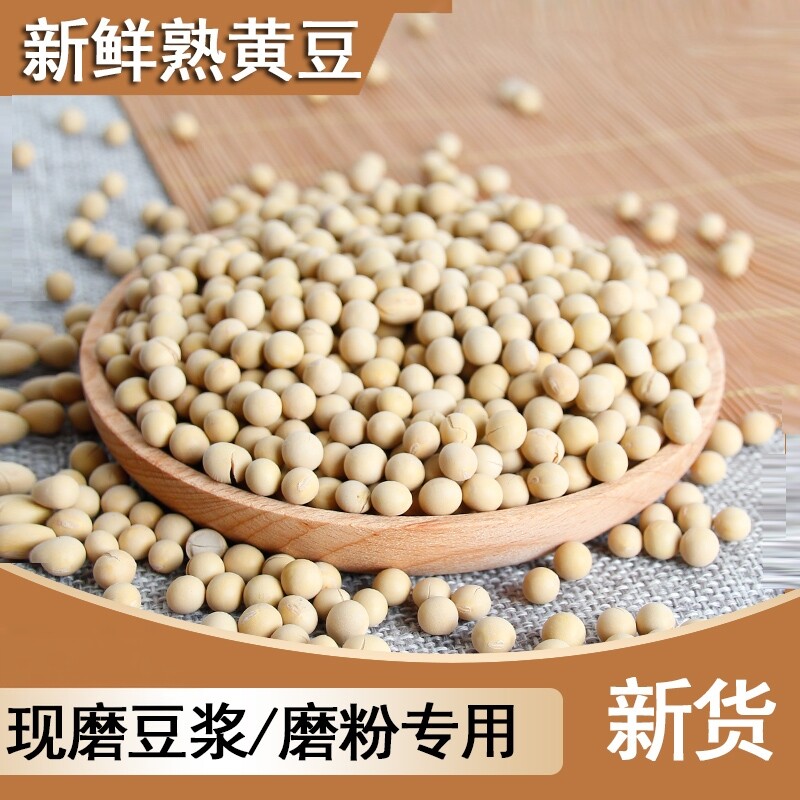 新鲜熟黄豆打豆浆专用无添加当季新货打粉原材料低温烘烤熟豆