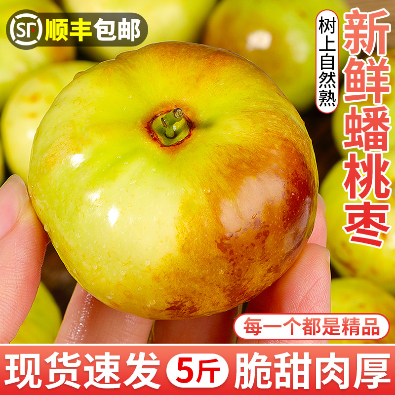顺丰现摘蟠枣新鲜脆甜可口特一级大果当季孕妇红河冬枣扁圆蟠桃枣