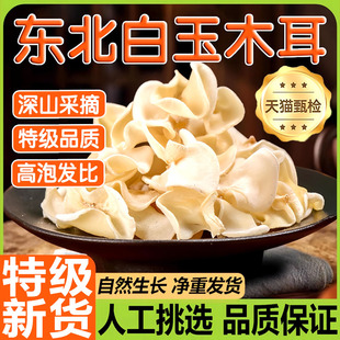 正宗长白山野生白玉木耳特级干货东北特产肉厚干净无根官方旗舰店