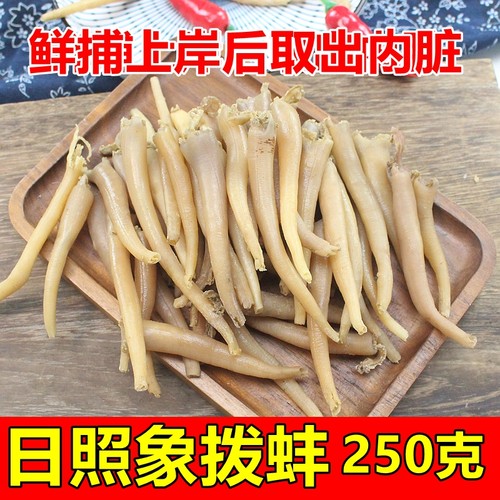 日照特产野生象拨蚌250克牙