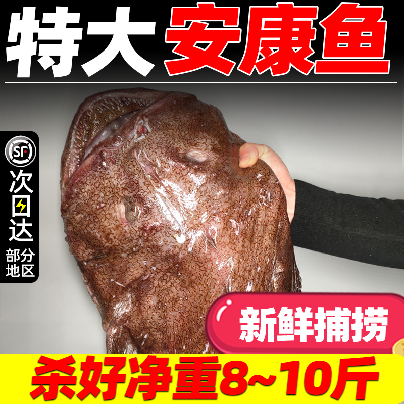 8斤条大安康鱼整嘴新鲜活蛤蟆