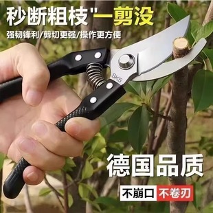 省力修枝剪家用修花木摘果剪粗枝剪嫁接剪园艺工具SK5钢滑轮剪刀