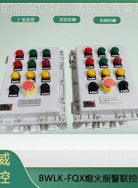 宝BWLK-FQX威燃控窑炉燃烧统装紫外线火加焰系测检器