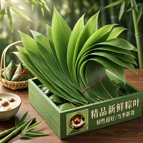 【新鲜现摘】特大号粽叶端午节