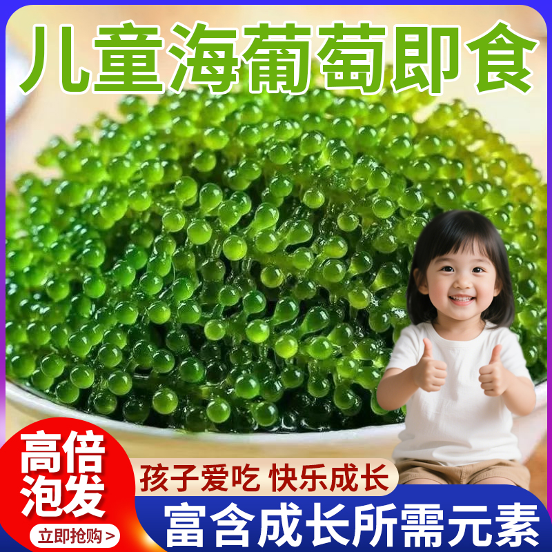 农科院儿童海葡萄即食官方旗舰店新鲜水葡萄小孩吃的健康零食营养