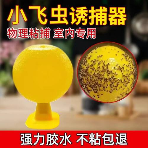 果蝇诱捕器小飞虫灭杀神器蠓虫厨房水果店除室内粘虫球诱苍蝇