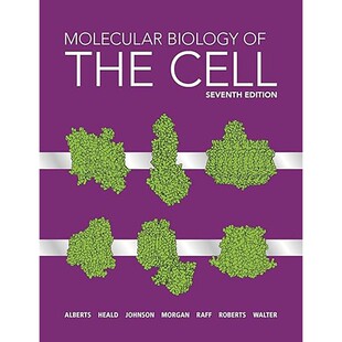 现货 英文原版 细胞分子生物学 Molecular Biology of the Cell 9780393884821