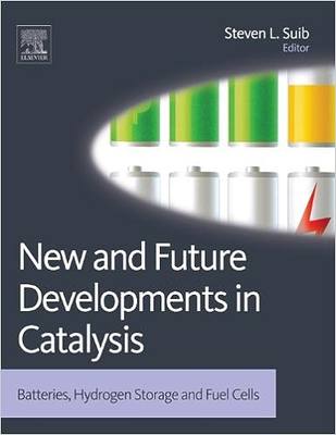 现货 New and Future Developments in Catalysis: Batteries, Hydrogen Storage and Fuel Cells 9780444538802