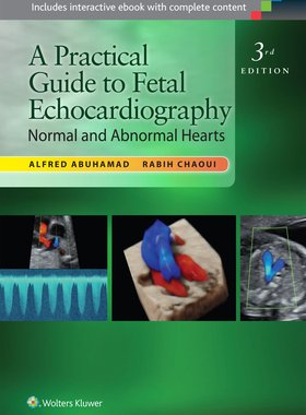现货 英文原版 A Practical Guide to Fetal Echocardiography: Normal and Abnormal Hearts 9781451176056