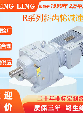 斜齿轮减速机RF/R37R47R57R67R77R87R97R107R137R147代替SEW变速