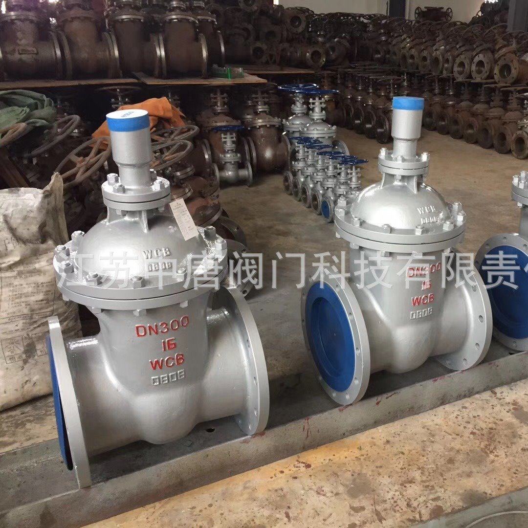 FDZ45H-16C加密暗杆铸钢闸阀 防盗锁闭闸阀 油田管道用暗杆闸阀