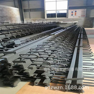 CZLFE型异型钢毛勒缝 C40F60D80梳齿板伸缩缝 桥梁板式 伸缩缝GOF