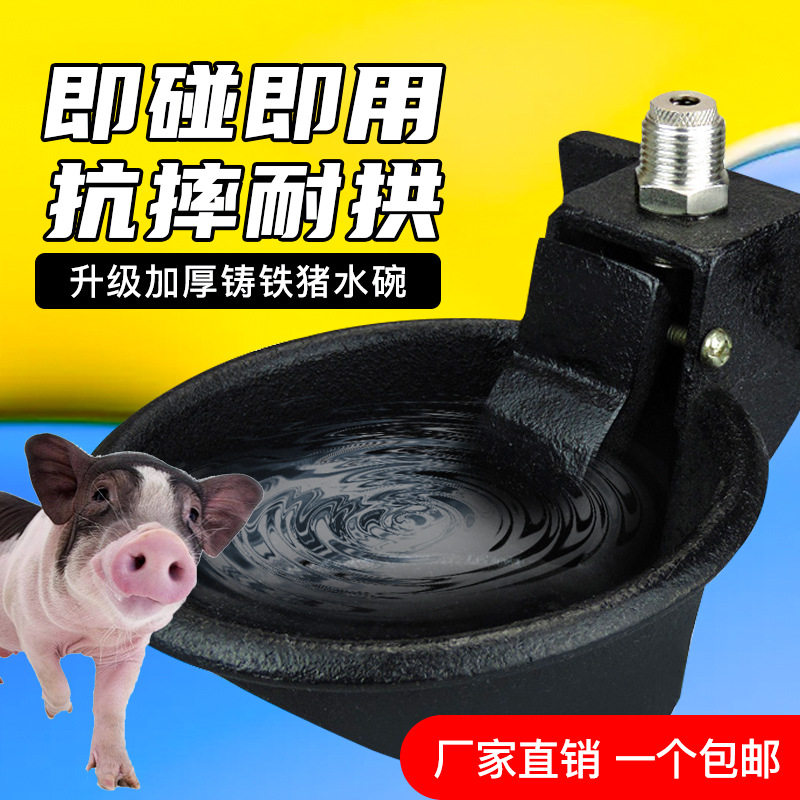 铸铁猪饮水器猪饮水碗水嘴猪用自动水咀饮水器触碰式喝水碗
