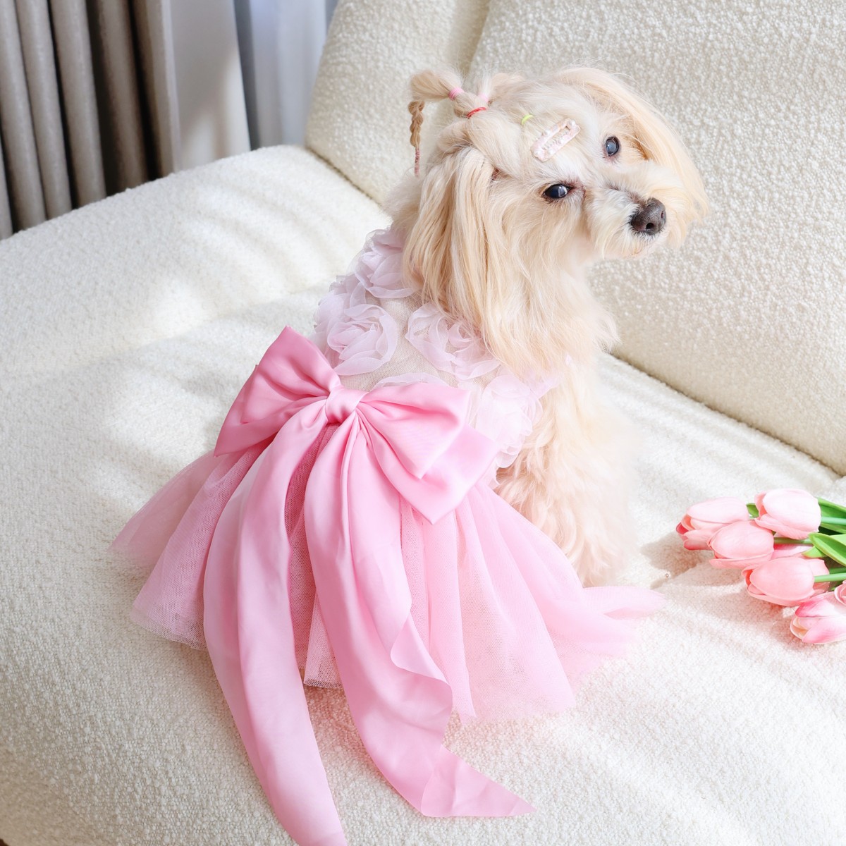 猫狗粉玫瑰连衣裙适合春夏穿着舒适亲肤宠物狗服饰裙子新款比熊