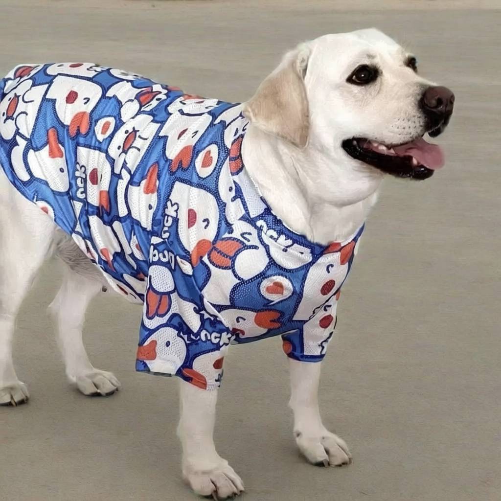 大狗狗衣服拉布拉多金毛阿拉斯加边牧柴犬中型犬大型犬春夏宠物衣