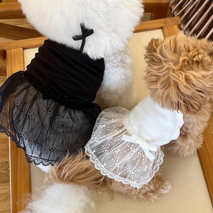 春夏款新品狗狗猫咪蕾丝吊带裙子泰迪博美贵宾比熊小型犬宠物衣服