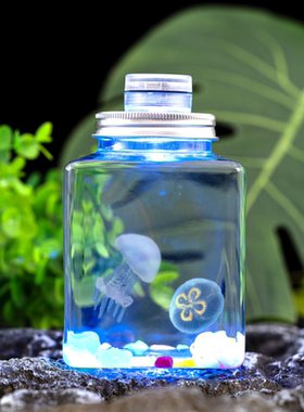 水母活物宠物水母发光水母桌面学生儿童无毒好养小宠物小动物包活