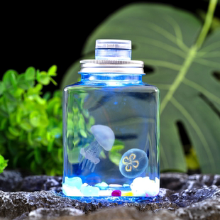 水母活物宠物水母发光水母桌面学生儿童无毒好养小宠物小动物包活