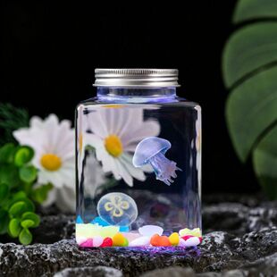 水母活物宠物水母发光水母桌面儿童学生无毒好养小宠物小动物包活