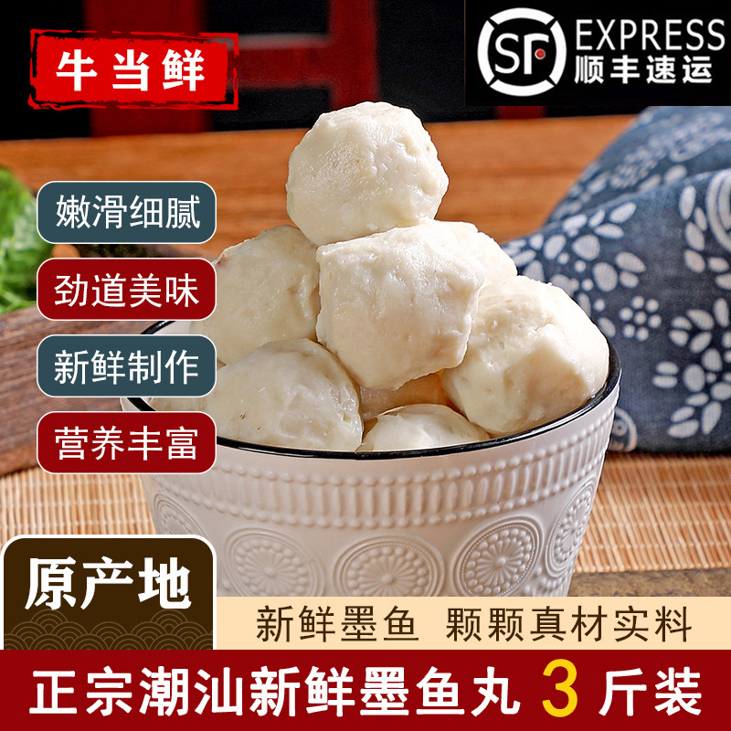 【顺丰冷链包邮】正宗达濠墨鱼丸图片
