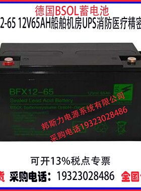 德国BSOL蓄电池BFX12-65 12V65AH船舶机房UPS消防医疗精密仪器