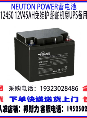 NEUTON POWER蓄电池NPD12450 12V45AH免维护 船舶机房UPS备用电源