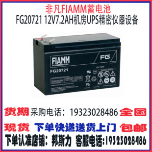 20722 22703 21201 21803 FG系列 21202 非凡FIAMM蓄电池FG20721