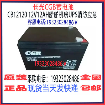 武汉长光CGB蓄电池免维护