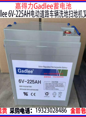 GadIee蓄电池6V-225AH嘉得力洗地机扫地机专用GT50 GT55 GT70电瓶