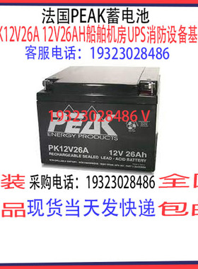 法国PEAK蓄电池PK12V26A 12V26AH免维护 机房UPS通讯消防应急储能