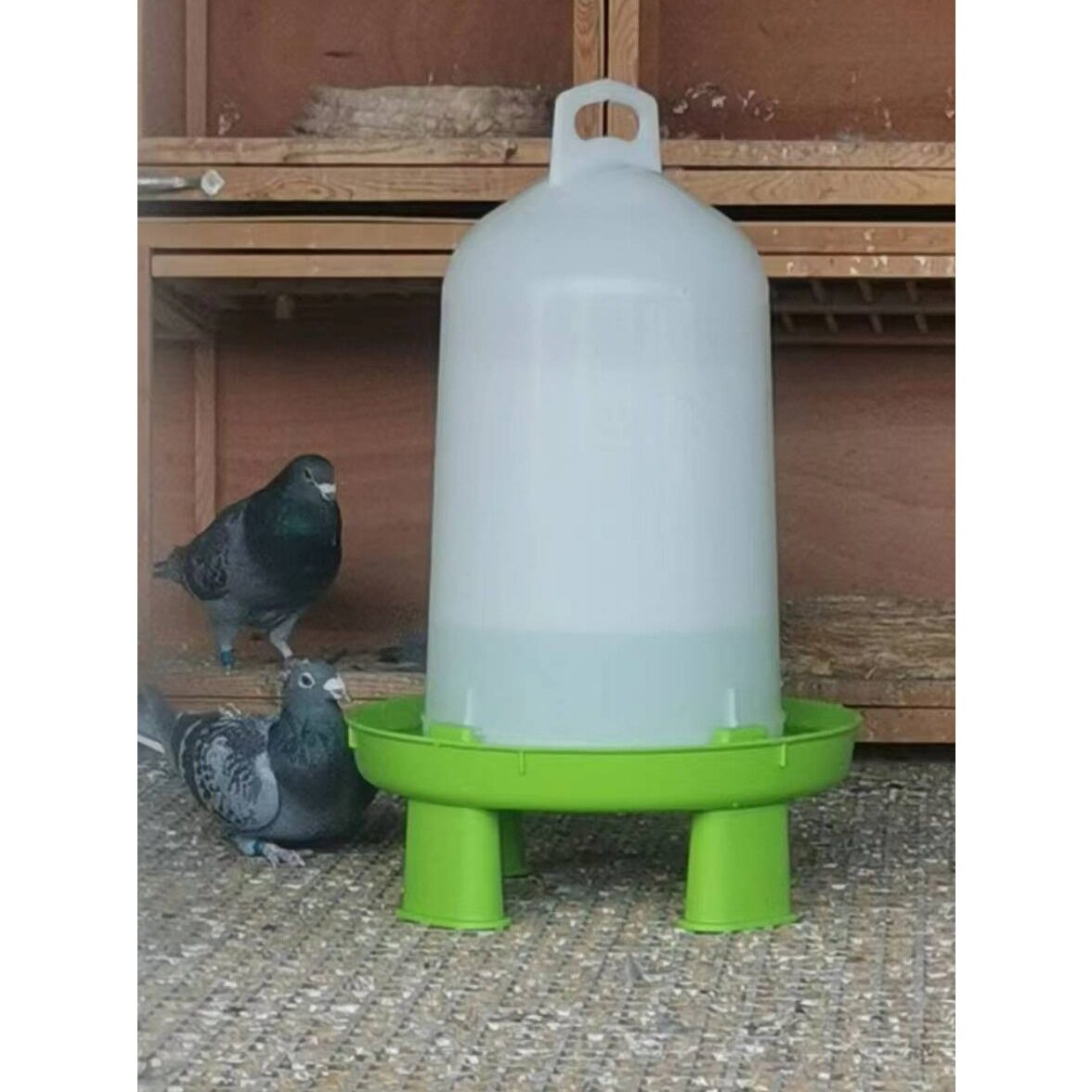 鸽子饮水器水壶鸽子用品用具信鸽水槽草窝站架鸽具食槽鸟用喝西辰