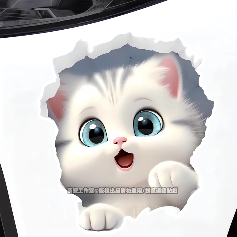 破墙小猫咪装饰车贴纸摩托电动汽车身划痕遮挡房间马桶门墙3d贴画