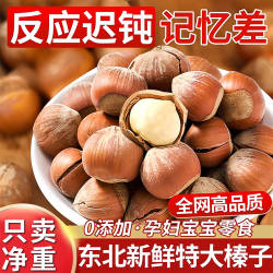 榛子东北特产新鲜原味无添加长白山榛子孕妇零食