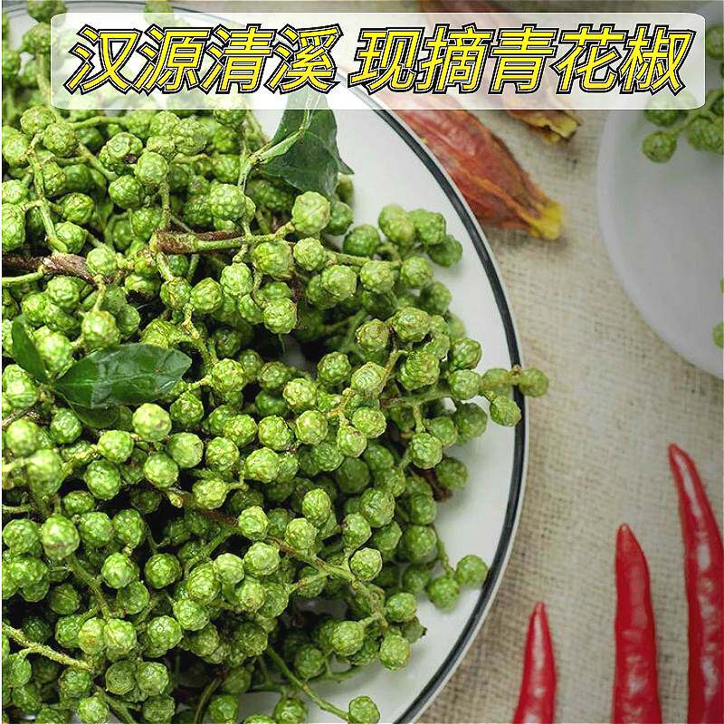 2023年四川汉源青花椒新鲜活青花椒湿花椒生青花椒粒特麻现摘1斤