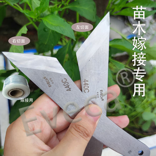 马氏体型440C芽接刀嫁接刀果树园艺苗木嫁接专用工具刀高硬度