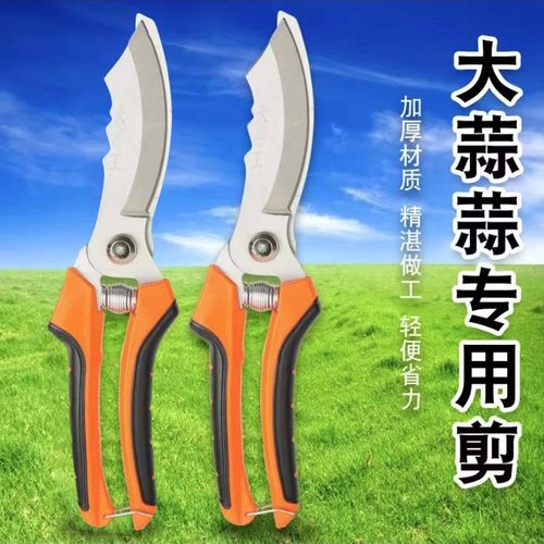 大蒜专用剪刀蒜胡剪子切蒜神器洋葱修剪工具香菇剪子剪蔬菜神器