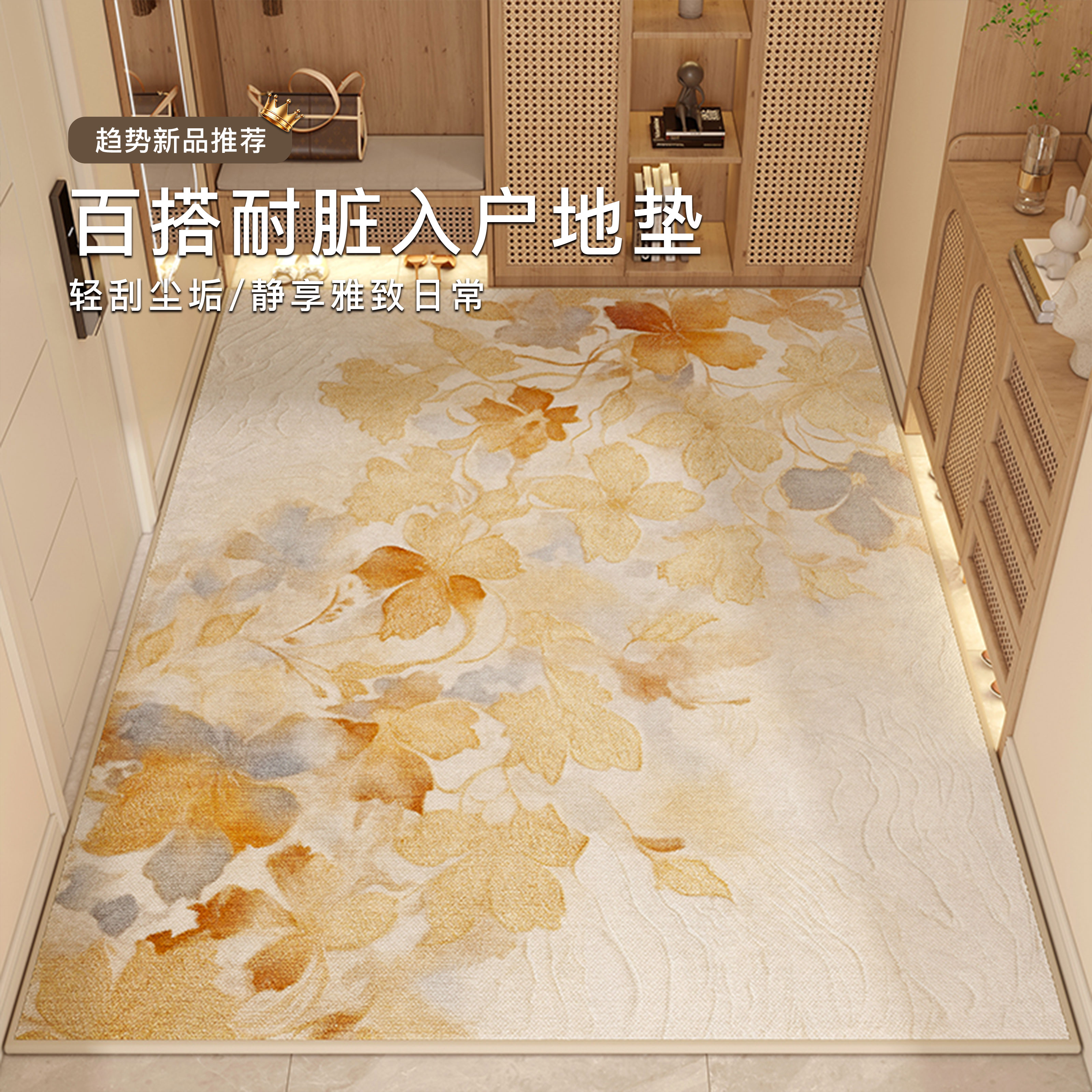 比利时圈绒耐脏耐磨防滑入户玄关图片