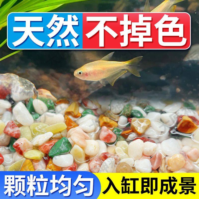 天然雨花石多肉铺面铺底鱼缸底砂五彩石头盆栽水培植物造景装饰,宠物/宠物食品及用品,造景/装饰,淘宝优惠券,粉丝福利购,淘宝优惠卷