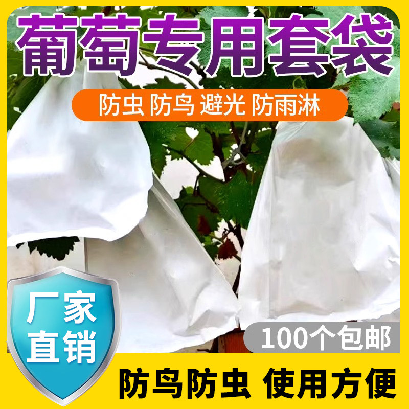 葡萄套袋防鸟防虫户外水果保护袋