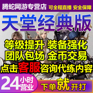 天堂经典版代练代肝代打提升等级装备强化金币货币交易