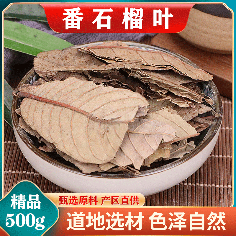 番石榴叶番石榴果干新鲜现摘红心番石榴干茶叶晒干番桃叶泡水下糖