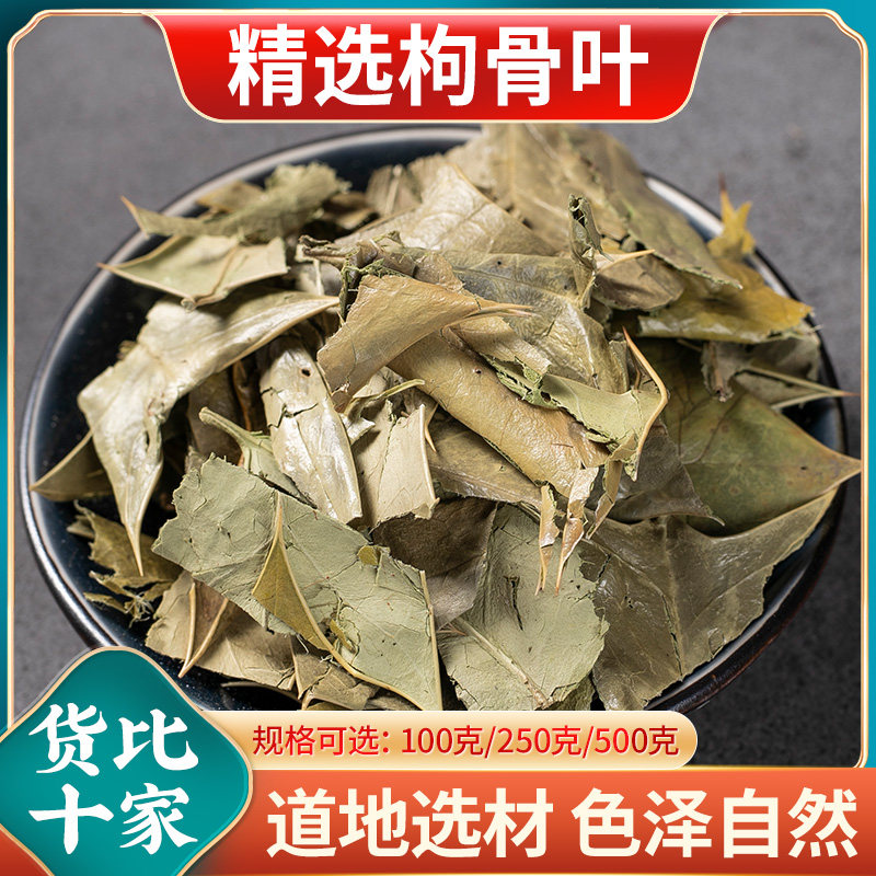 野枸骨叶中药材500g功劳叶枸骨茶狗骨刺狗骨叶猫儿刺八角刺老鼠刺
