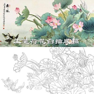 高清工笔画国画荷花底稿四六尺花鸟荷花白描底稿线描实物打印稿